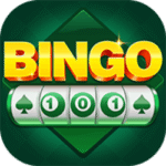 Bingo 101